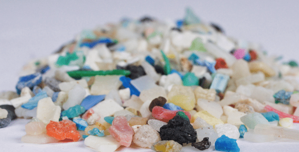 MR Online | Plastics of all shapes sizes colors and composition enter the ocean every day with largely unknown impacts Studying these environmental impacts outside the lab and in the ocean is challenging Image by Florida Sea Grant via Flickr CC BY NC ND 20 DEED | MR Online